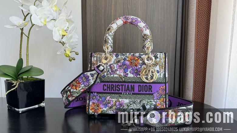 Dior  Bags Dior 6605 24x20x11cm wz3