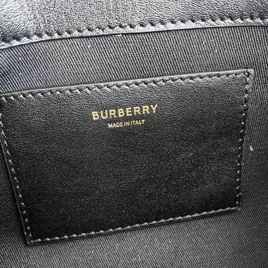 Burberry Bags 24X8X14cm 070907 IQ 2colour