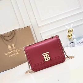 Burberry Bags Burberry 8368 21x6x16cm ww3色