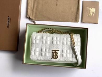 Burberry Bags 80208481 23X13X6cm YG 3