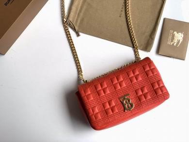 Burberry Bags 80208481 23X13X6cm YG 5