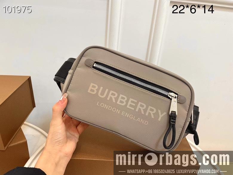 Burberry Bags 22X6X14cm 030510 WP 2colour