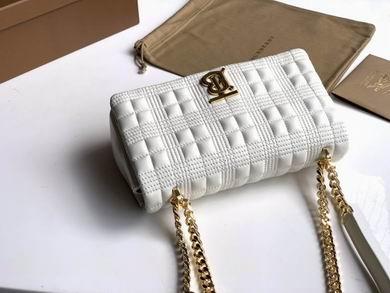 Burberry Bags 80208481 23X13X6cm YG 3