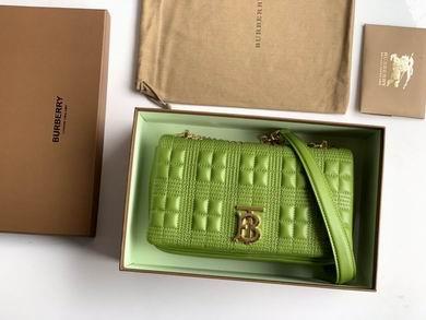 Burberry Bags 80208481 23X13X6cm YG 4