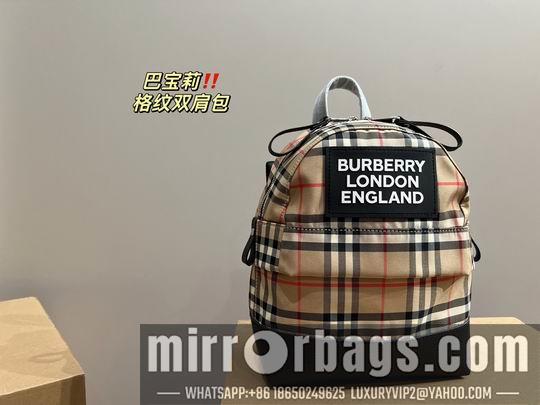 Burberry Bags 22X29cm 061305 DN