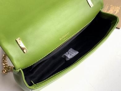 Burberry Bags 80208481 23X13X6cm YG 4