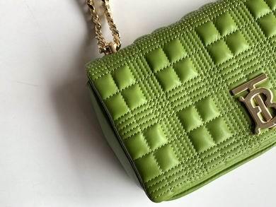 Burberry Bags 80208481 23X13X6cm YG 4