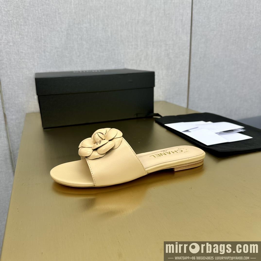 Chanel Shoes sz35-39 h0504