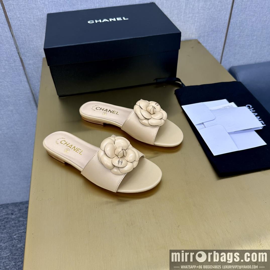 Chanel Shoes sz35-39 h0504