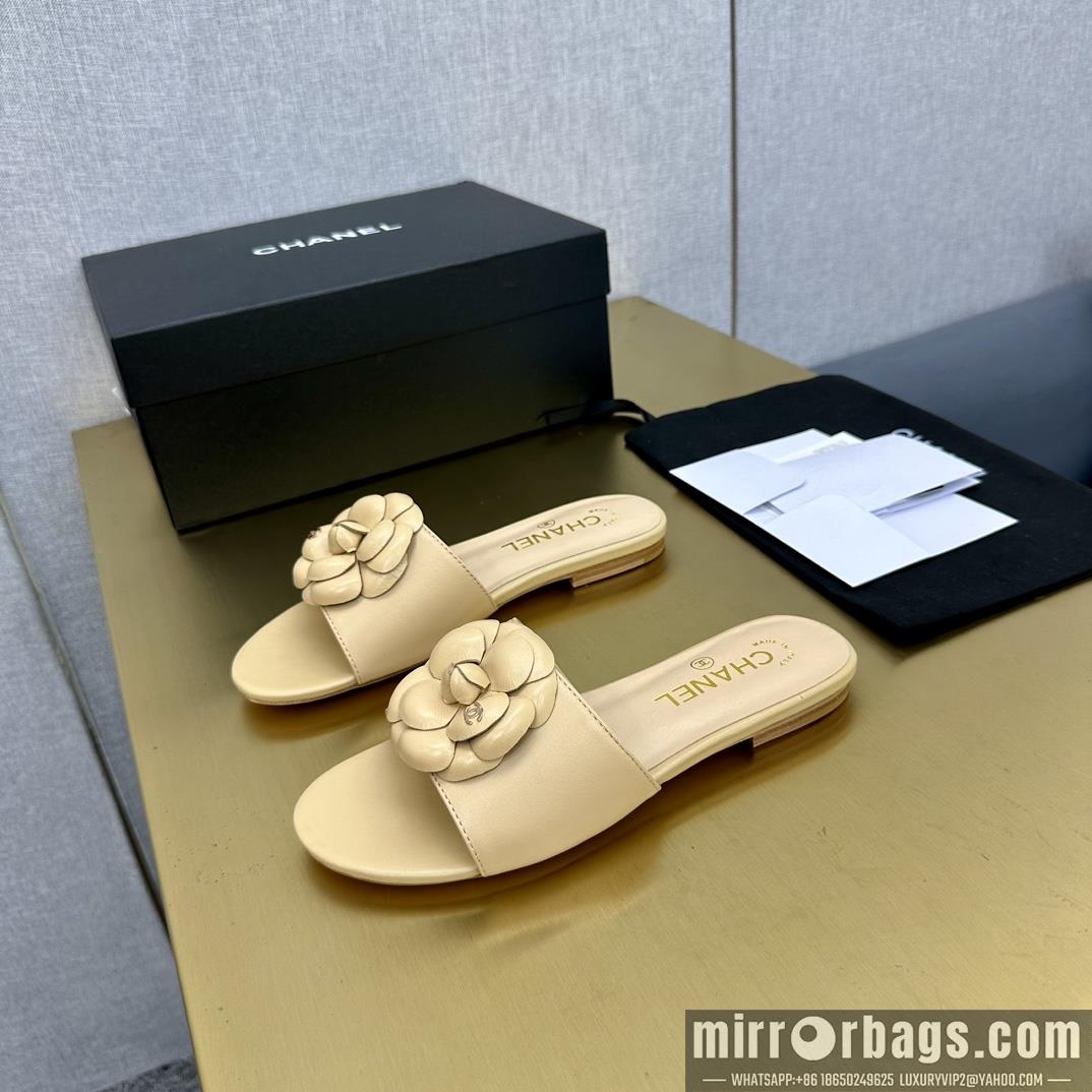Chanel Shoes sz35-39 h0504