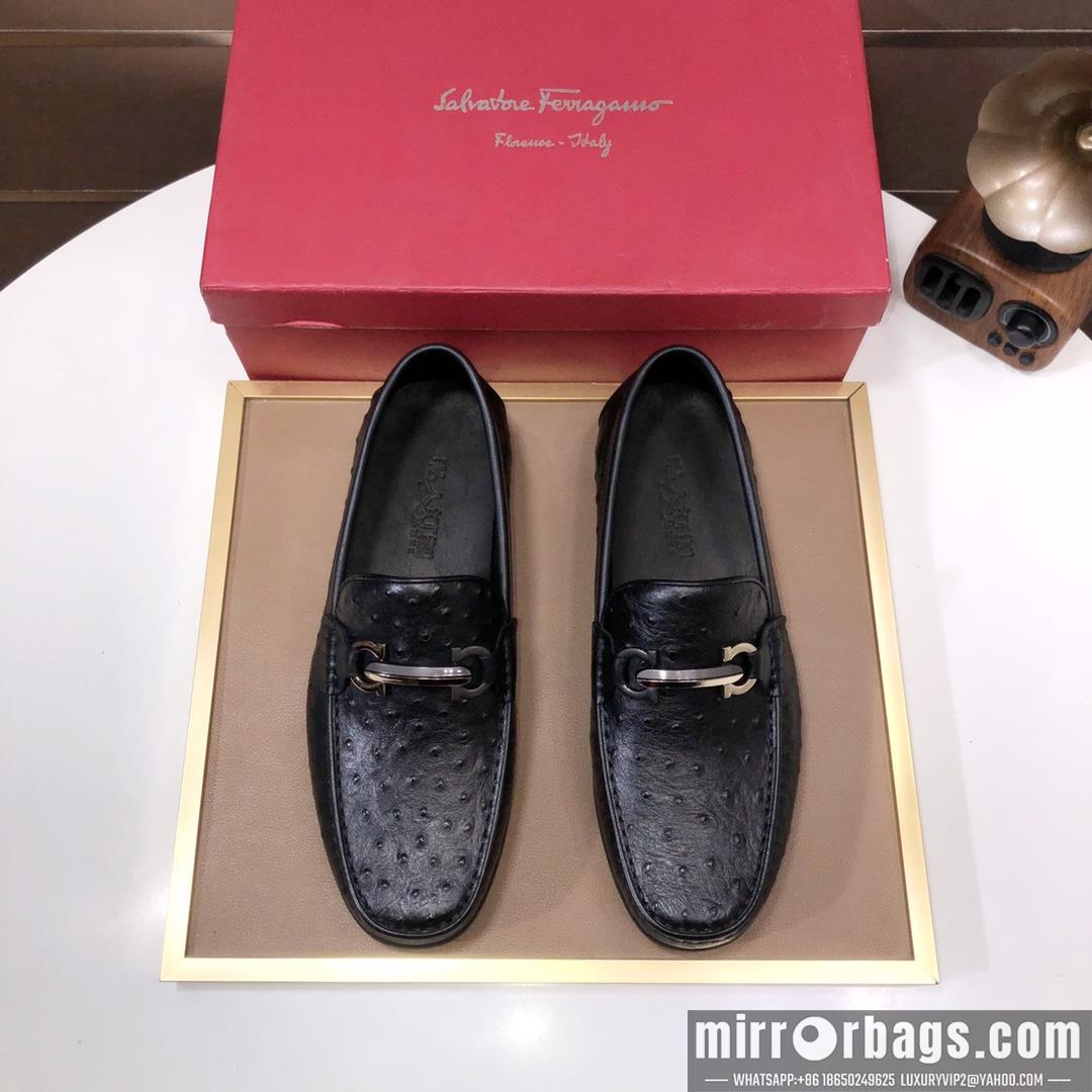 Ferragamo Shoes Ferragamo sz38-45 hnh0203