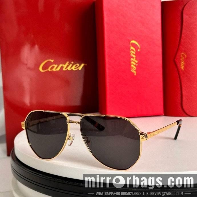 Cartier Glasses smx298