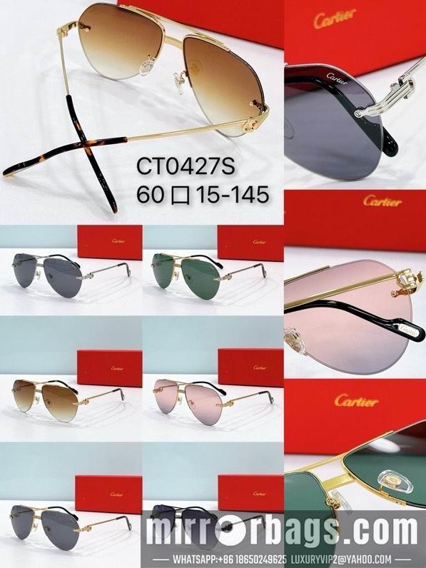 Cartier Glasses smx206