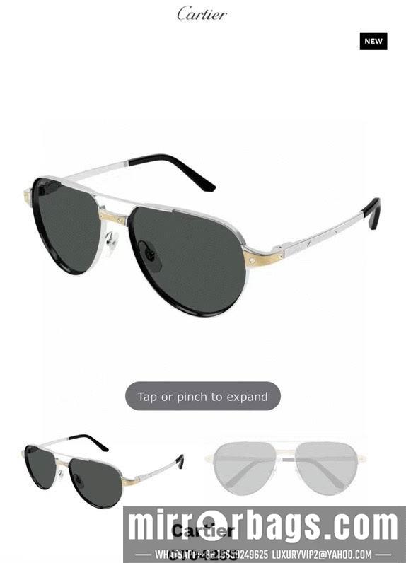 Cartier Glasses smr170