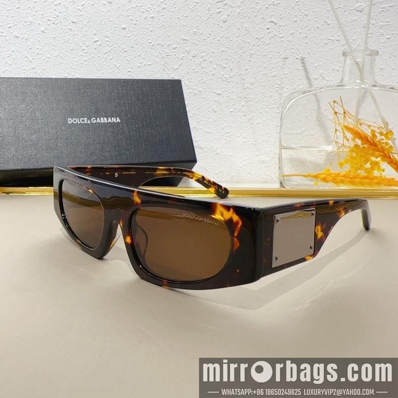 DG Glasses 010209