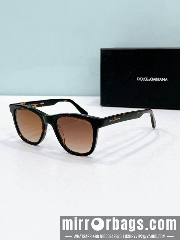 DG Glasses 03smh81