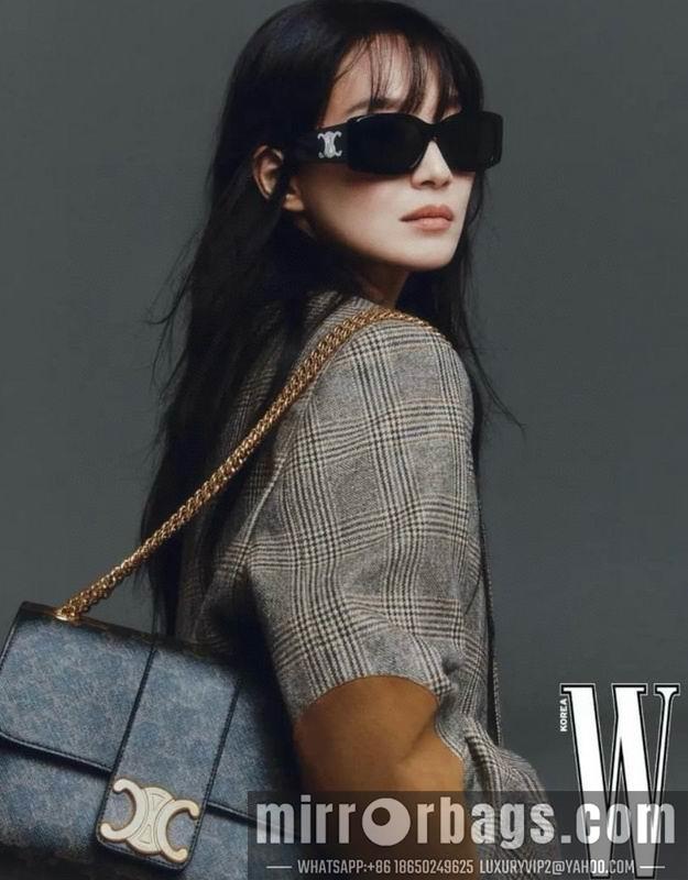 Celine Glasses smx137