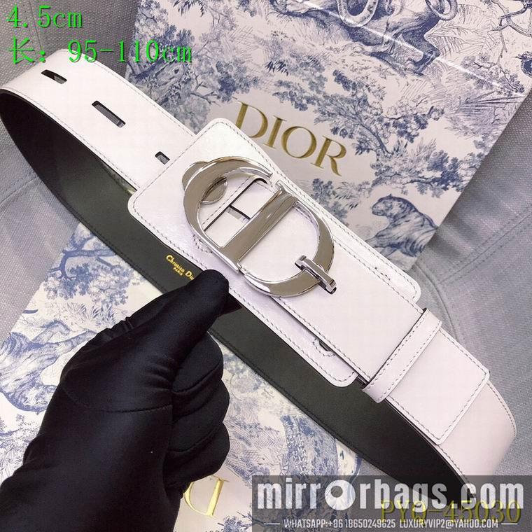 Dior 45mm 95-115cm 8L619
