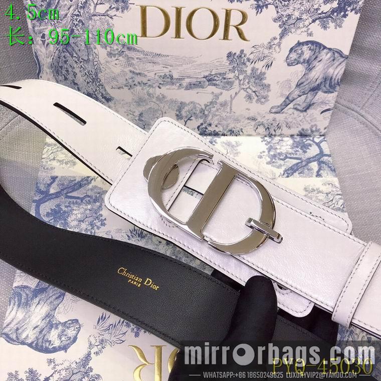 Dior 45mm 95-115cm 8L619