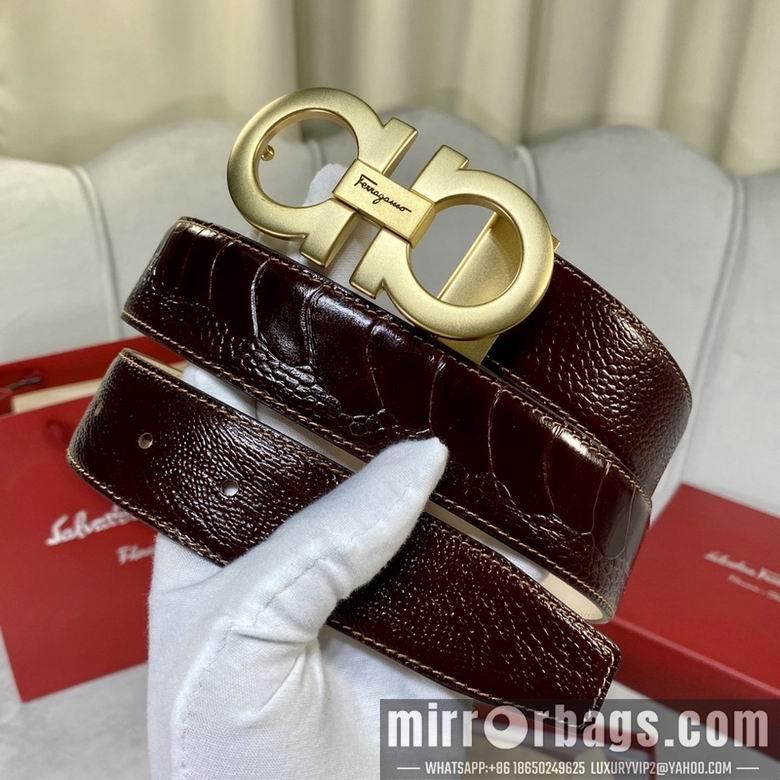 Ferragamo 34mmX95-125 7D166