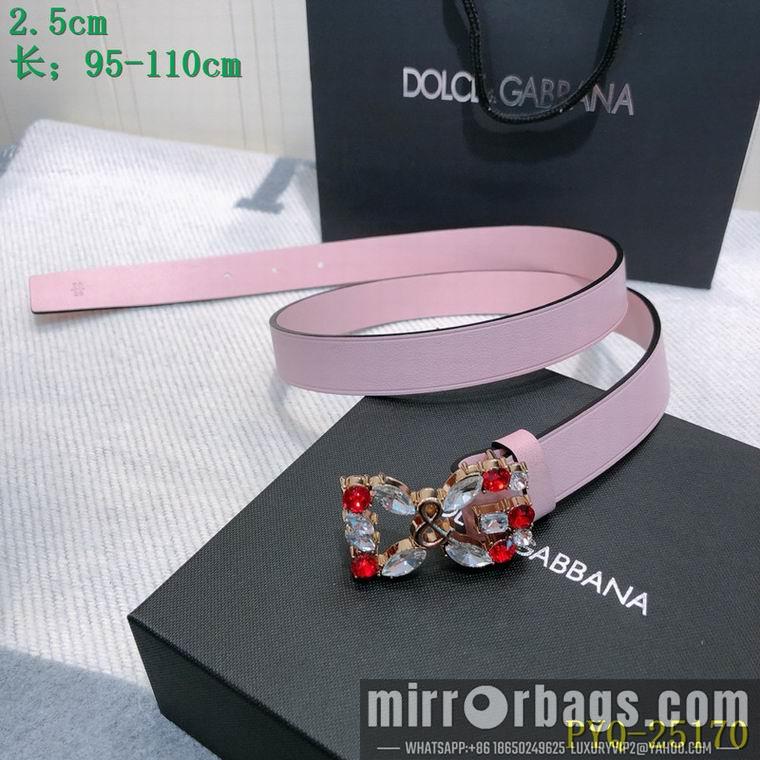 DG Belt 25mmX95-110CM 8L04