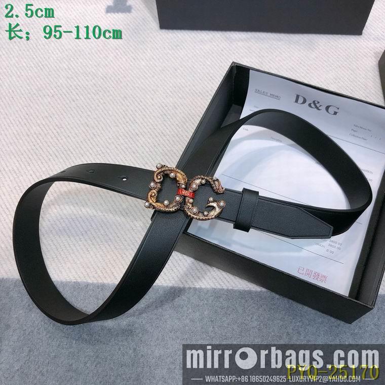 DG Belt 25mmX95-110CM 8L03