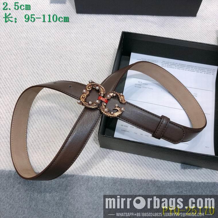 DG Belt 25mmX95-110CM 8L03
