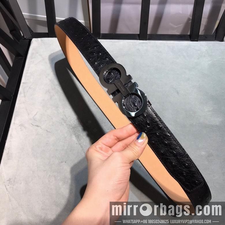 Ferragamo 34mmX95-125 7D150