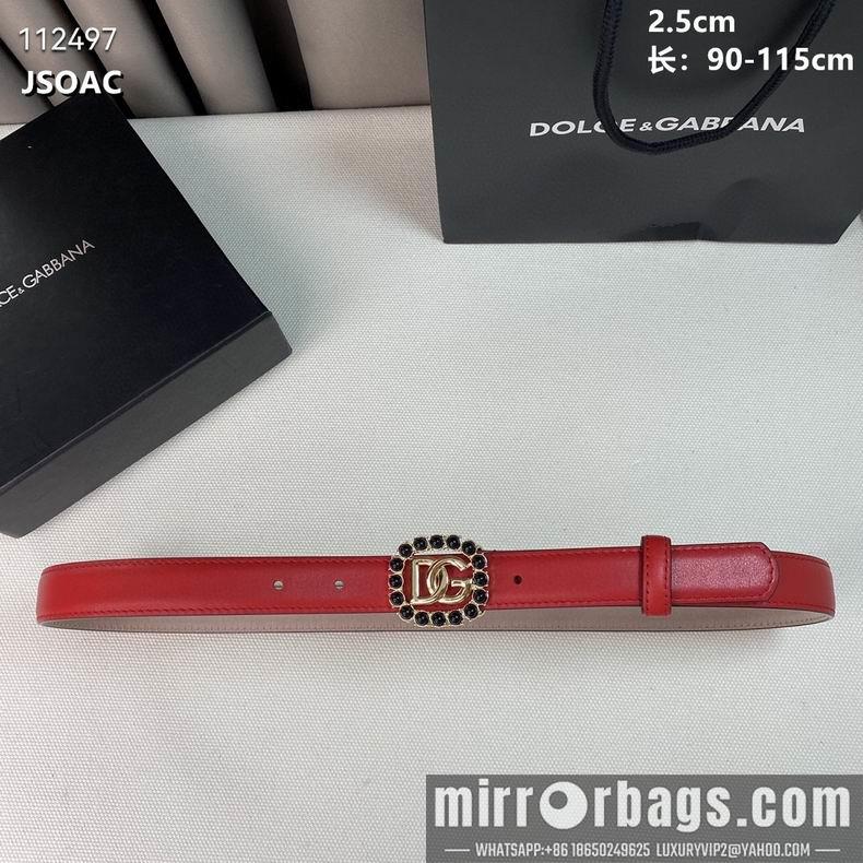 DG belt 25mmX90-110cm 8L01
