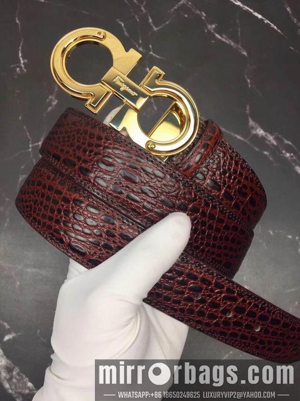Ferragamo 34mmX95-125 7D34