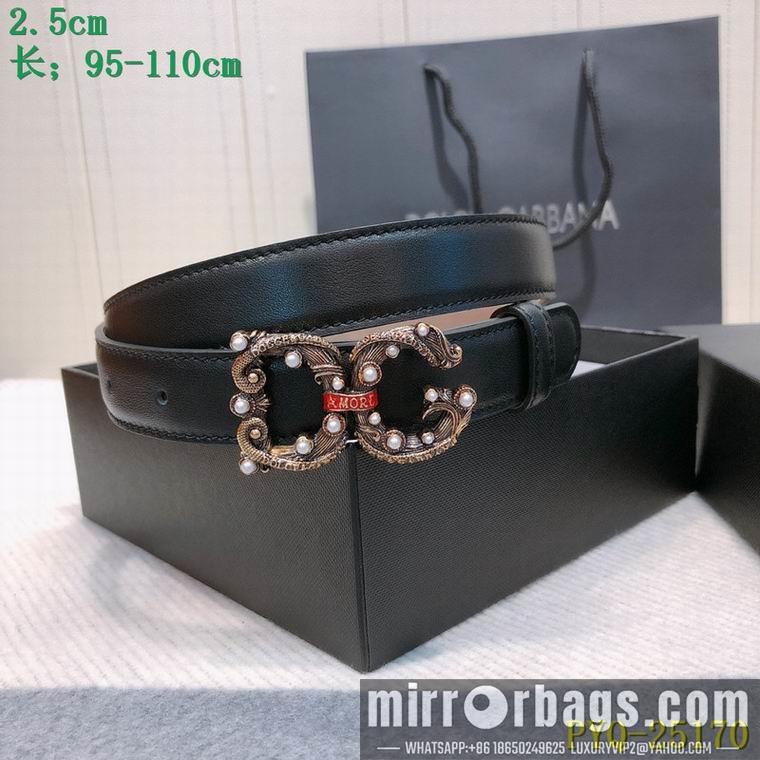 DG Belt 25mmX95-110CM 8L03