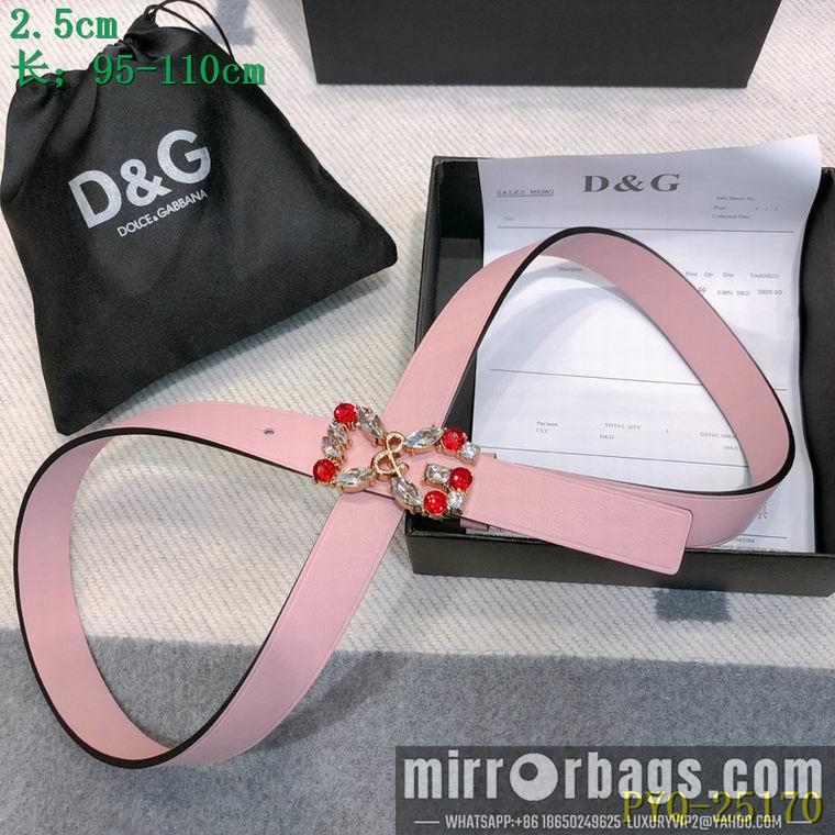 DG Belt 25mmX95-110CM 8L04