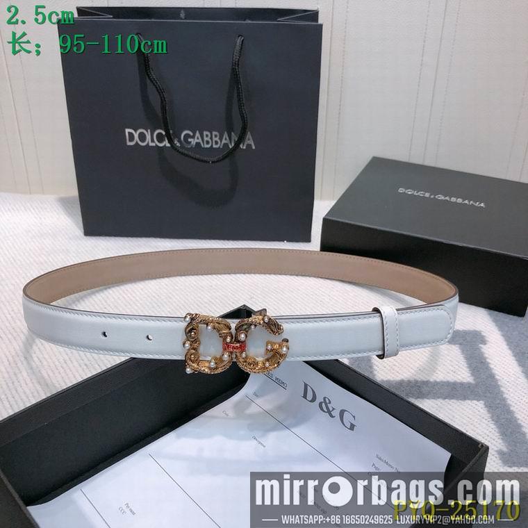 DG Belt 25mmX95-110CM 8L03