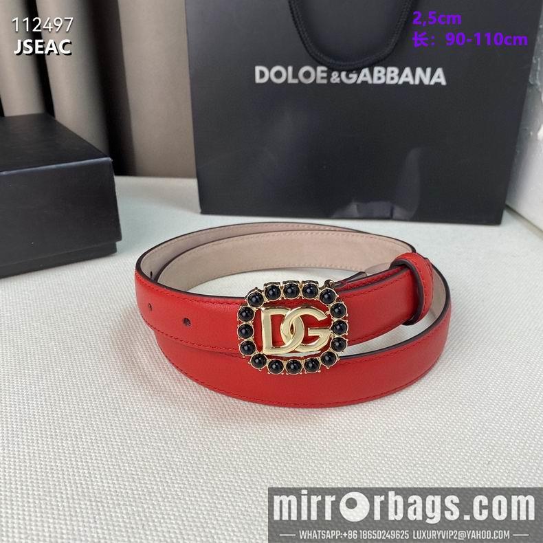 DG belt 25mmX90-110cm 8L02