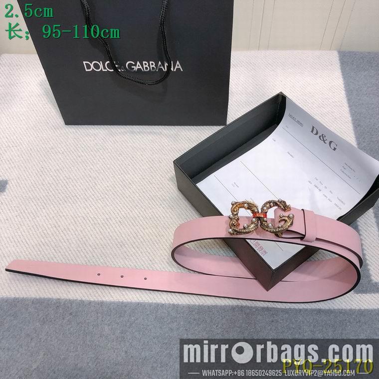 DG Belt 25mmX95-110CM 8L03
