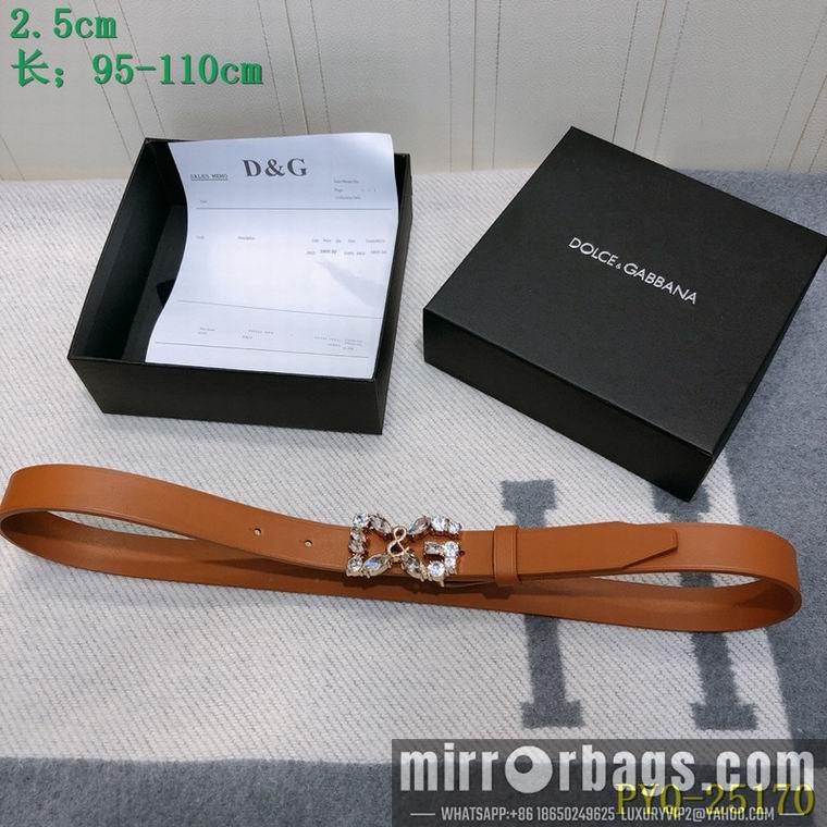 DG Belt 25mmX95-110CM 8L04