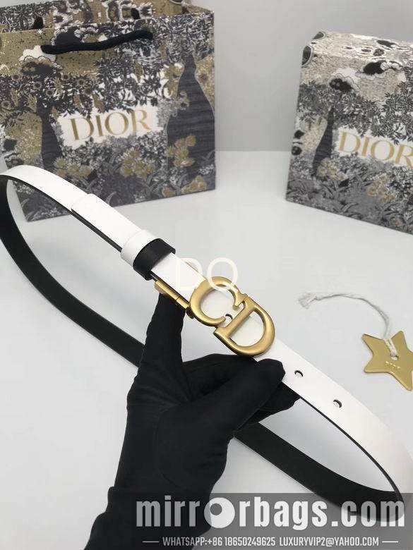 Dior 20mmx90-115cm 05