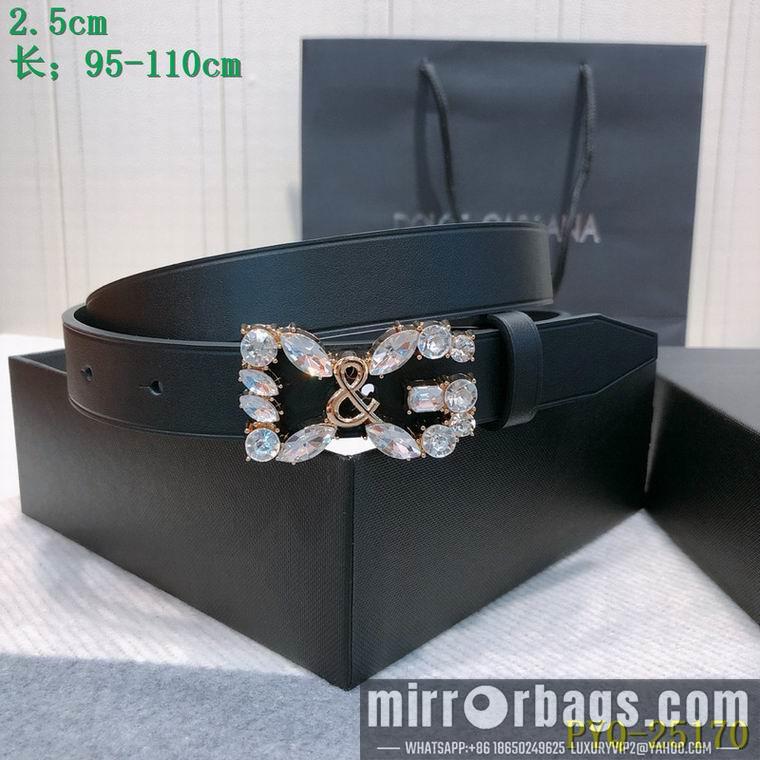 DG Belt 25mmX95-110CM 8L04