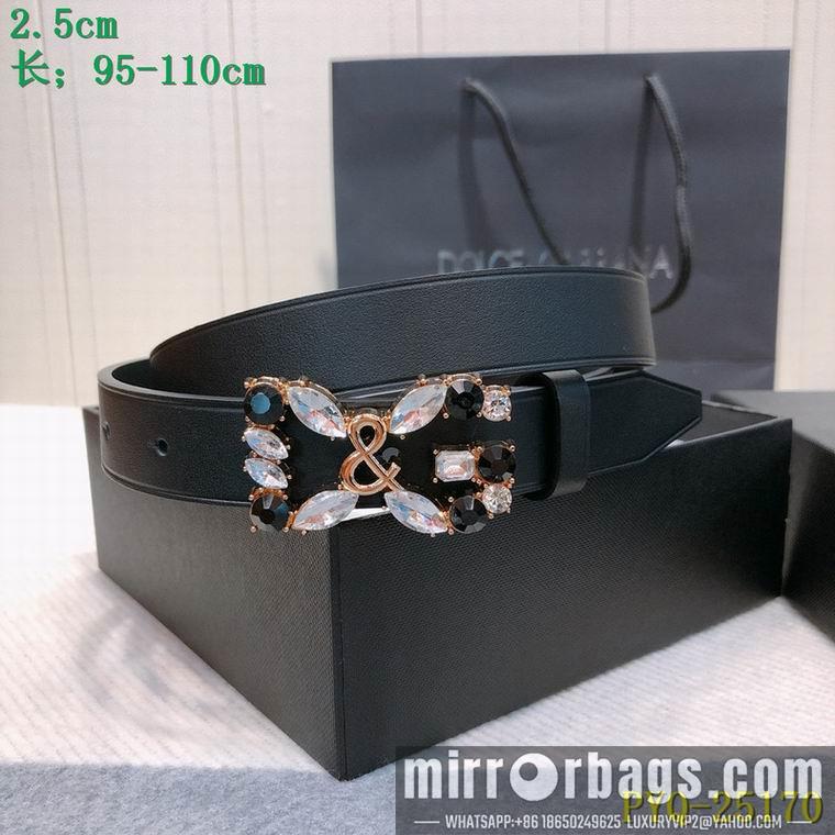 DG Belt 25mmX95-110CM 8L04