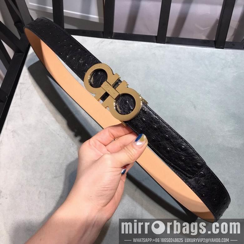 Ferragamo 34mmX95-125 7D150