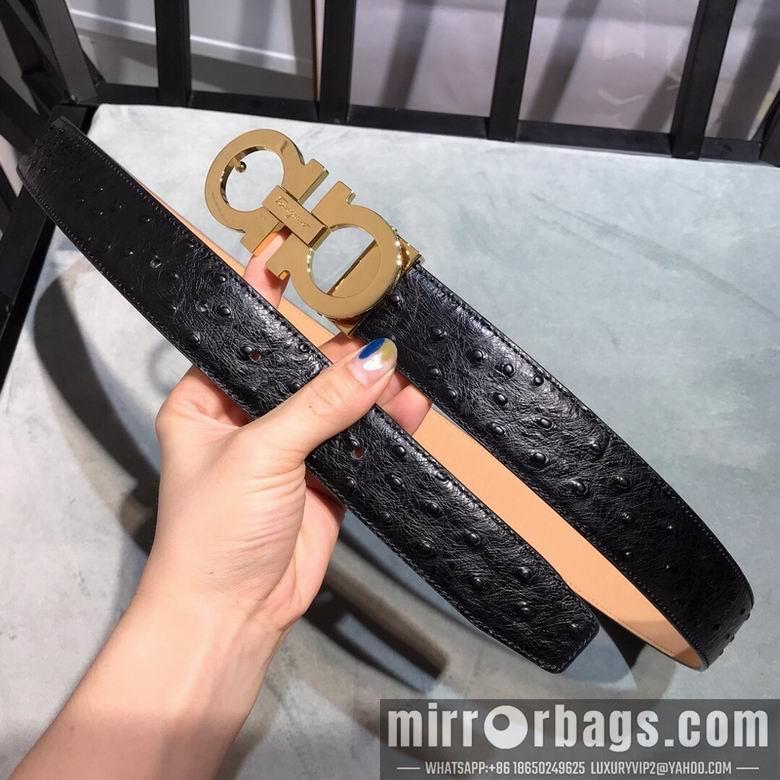 Ferragamo 34mmX95-125 7D150