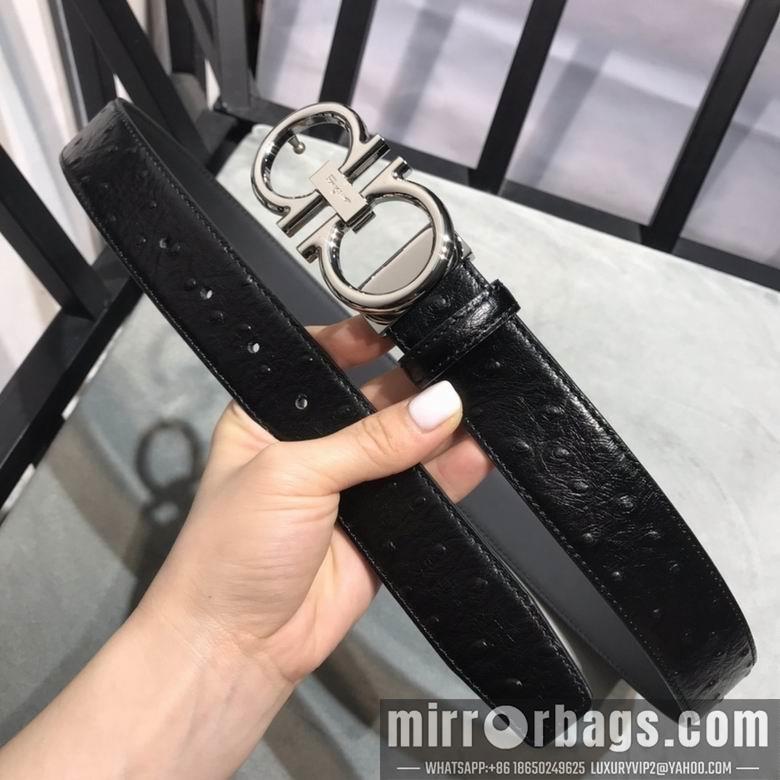 Ferragamo 34mmX95-125 7D205