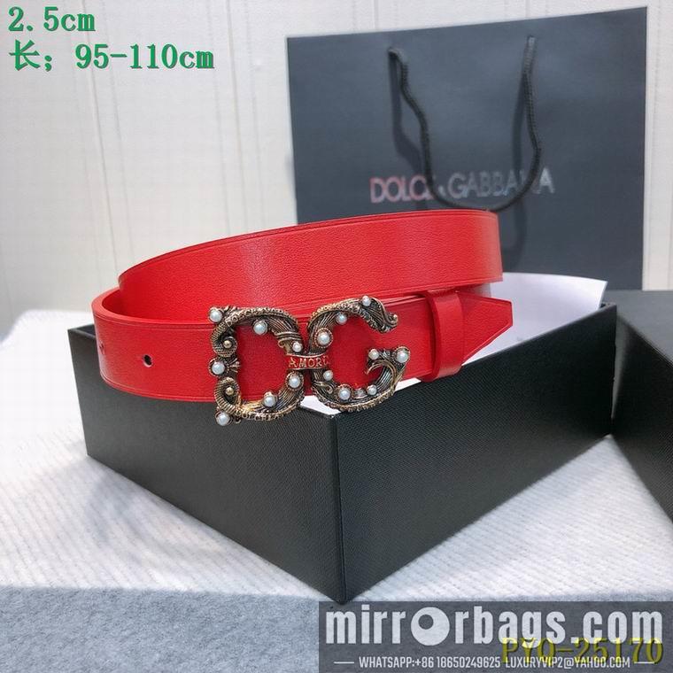 DG Belt 25mmX95-110CM 8L03
