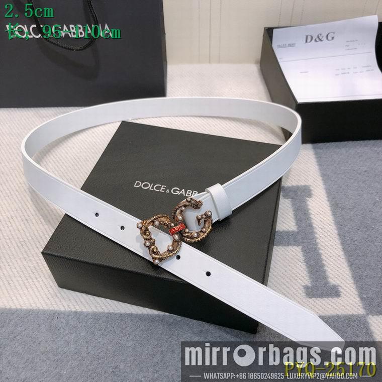 DG Belt 25mmX95-110CM 8L03