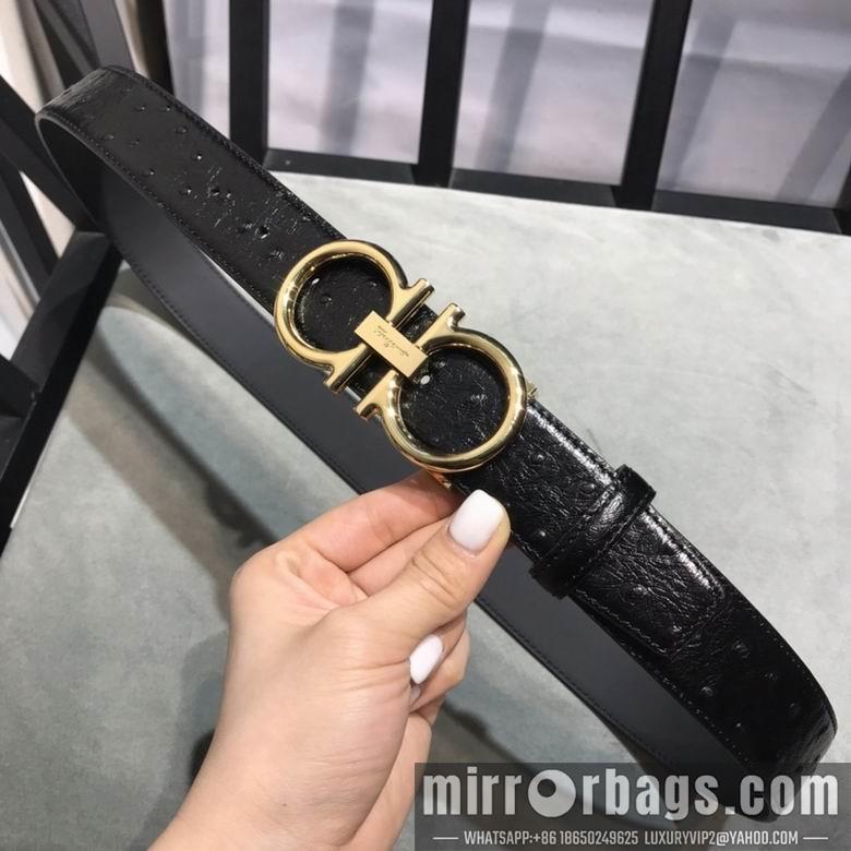 Ferragamo 34mmX95-125 7D205