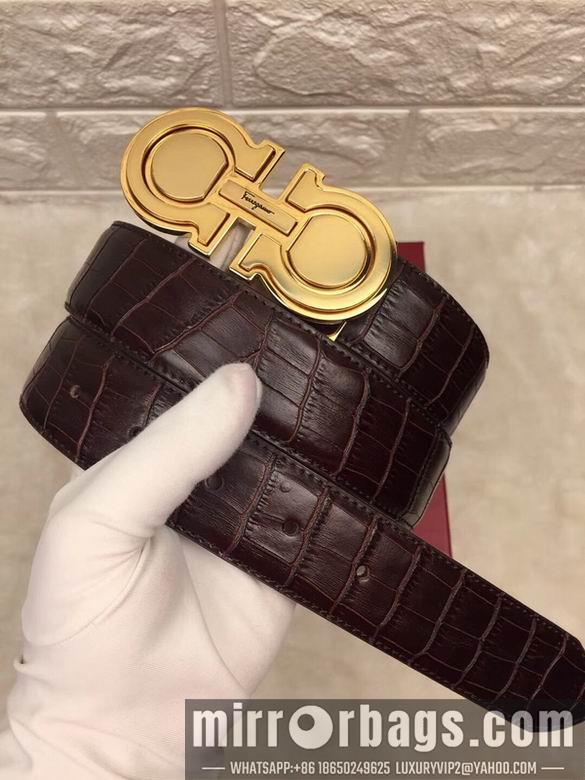 Ferragamo 34mmX95-125 7D67