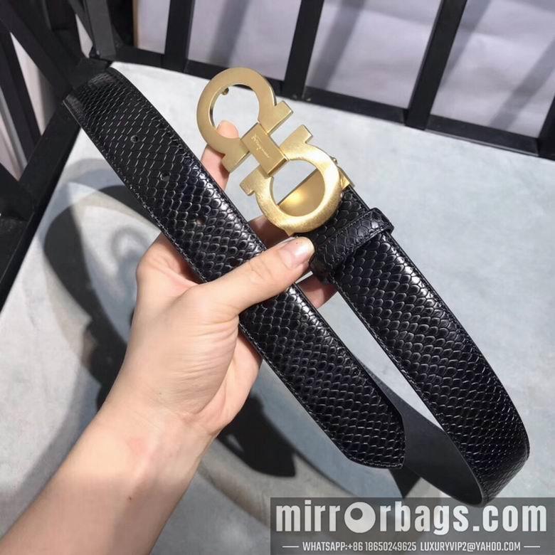 Ferragamo 34mmX95-125 7D270