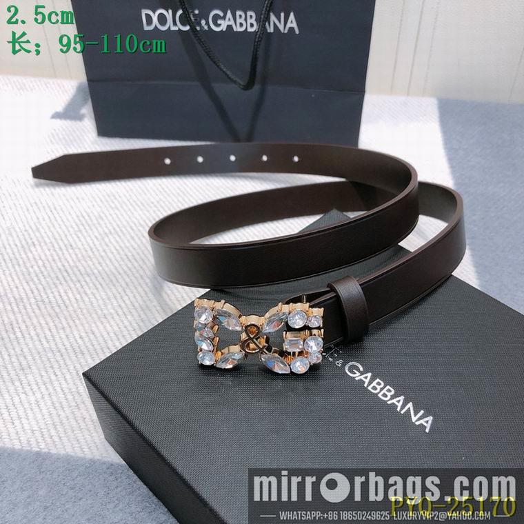 DG Belt 25mmX95-110CM 8L04