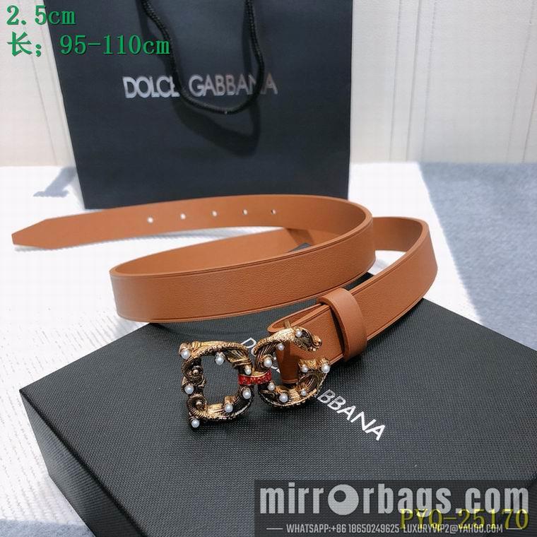 DG Belt 25mmX95-110CM 8L03