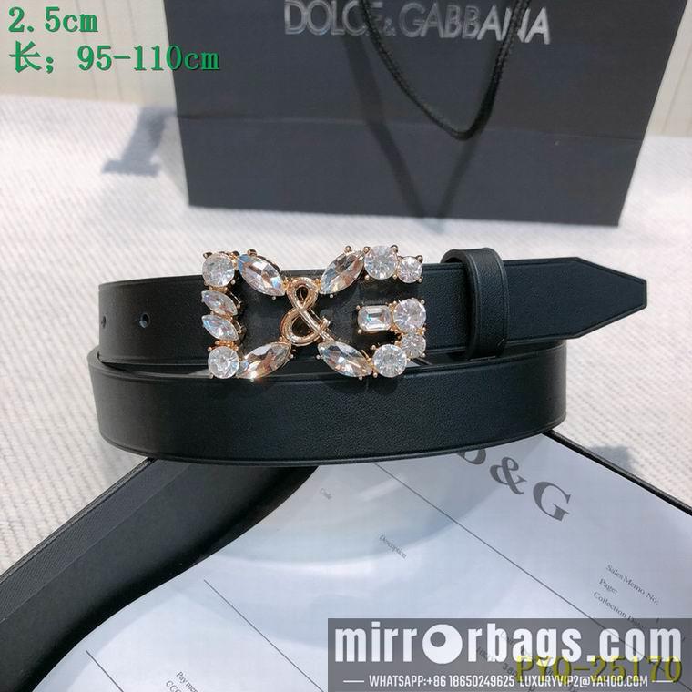 DG Belt 25mmX95-110CM 8L04